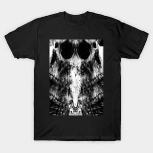 Liquid and Matter 2 T-Shirt